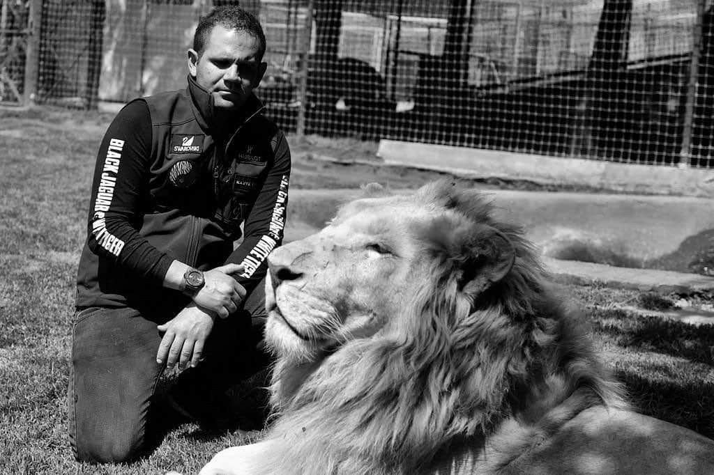 Black Jaguar-White Tiger さんのインスタグラム写真 - (Black Jaguar-White Tiger Instagram)「King Ali by @gavinbondphotography  #KingAliForever」1月31日 2時06分 - blackjaguarwhitetiger