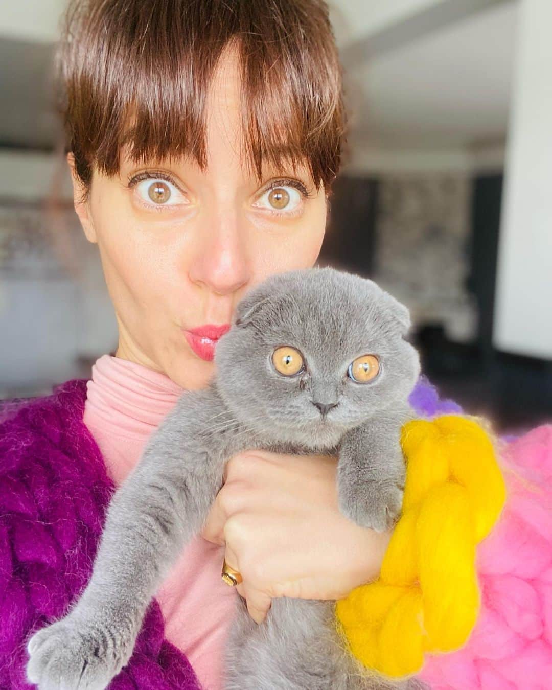 Sedef Avciのインスタグラム：「Tanıştırayım Liga Hanım🐱 #kitten #lovely #baby」