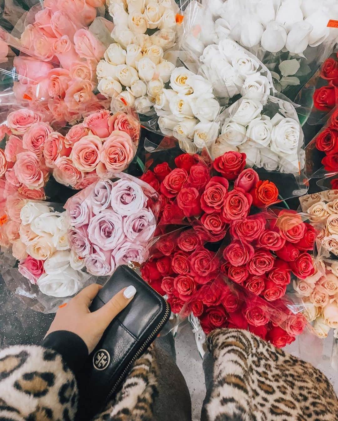 Stephanie Sterjovskiさんのインスタグラム写真 - (Stephanie SterjovskiInstagram)「Missing my trips to the flower market, anyone else love buying flowers for themselves? 😜🙋‍♀️ Tell me what your favourite blooms are in the comments below! 🌹🌸🌺🌻🌼 #flowermarket #littlejoys #saturdaymarket」1月31日 2時54分 - stephsjolly