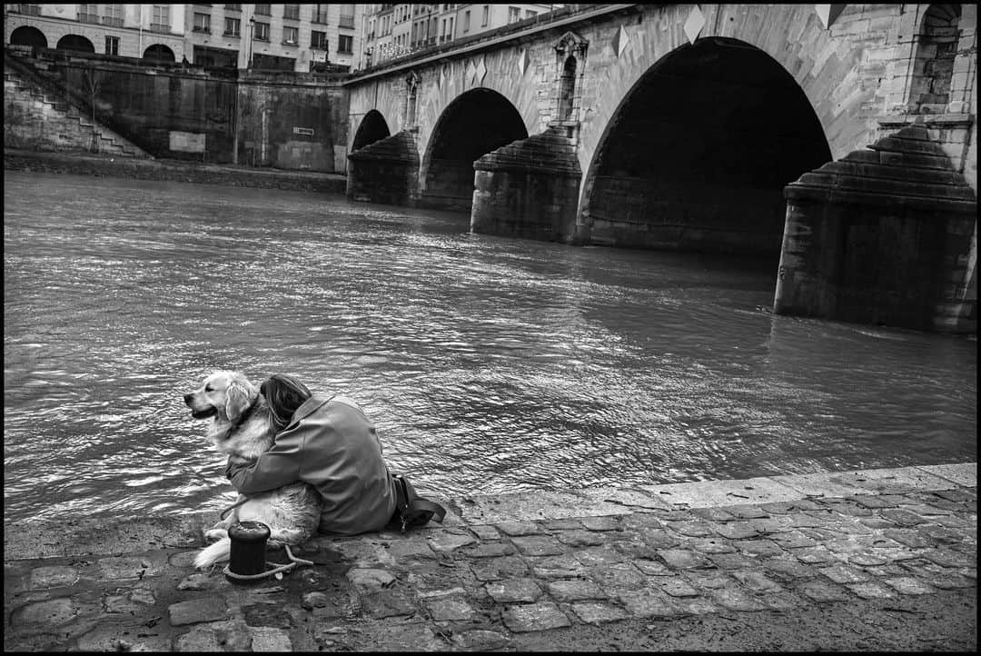 JanessaLeoneのインスタグラム：「A sweet simple moment of me and my pup captured by a stranger on the Seine. I love this city. xx JL   📷 @peterturnley」