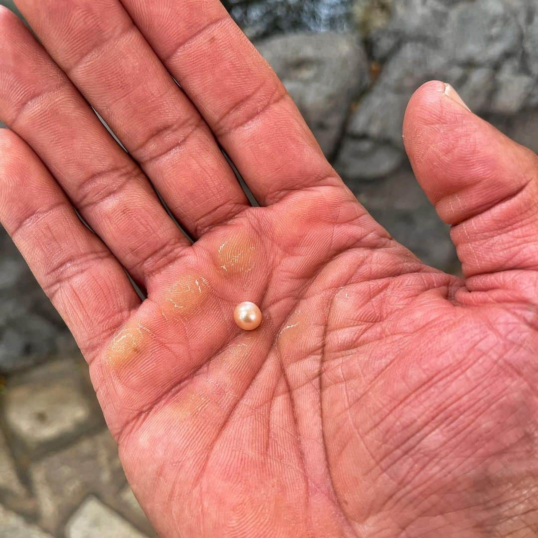 ドウェイン・ジョンソンさんのインスタグラム写真 - (ドウェイン・ジョンソンInstagram)「So this little powerful sucker (fresh out of an oyster) landed in my dinosaur hand.   I have an idea 💡🤔   #pinkpearl 🦪」1月31日 4時15分 - therock