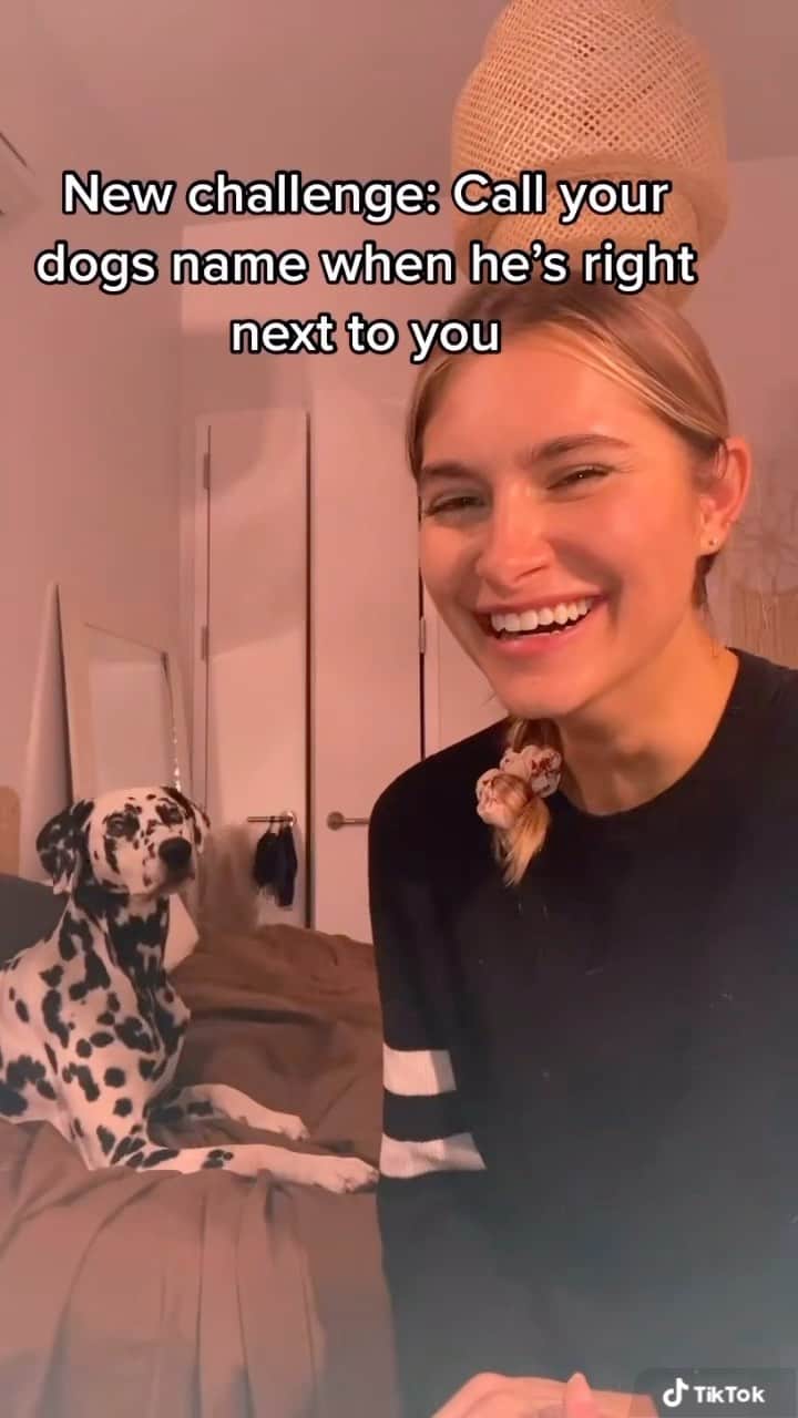 Monica Aksamitのインスタグラム：「I’ve never seen him so confused 😳 #pongo #dalmatian #dogmom #dalmatyńczyk #dalmata #dogoftheday #dog #callyourdogsnamechallenge #callyourdog」