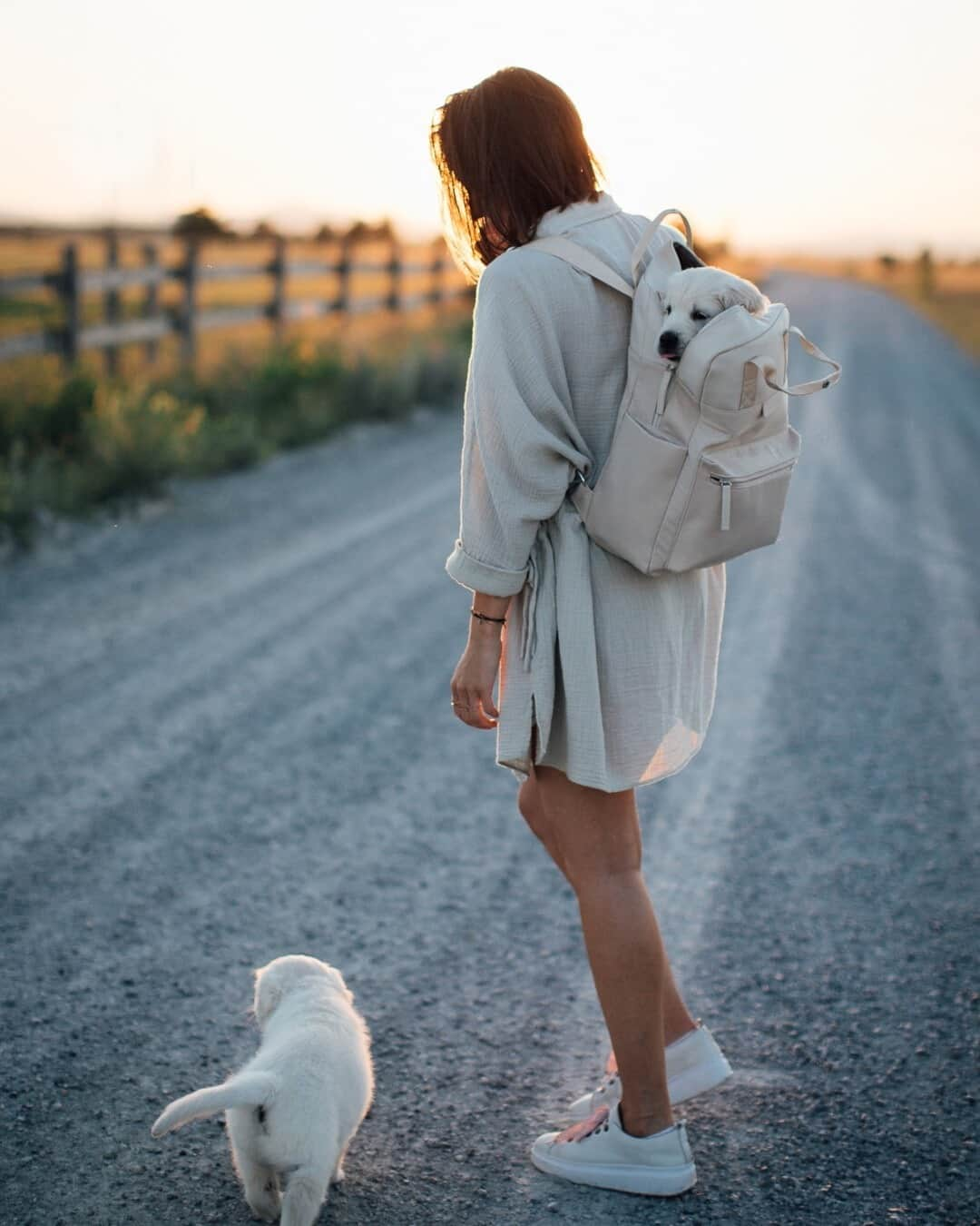 Kapten & Sonさんのインスタグラム写真 - (Kapten & SonInstagram)「Definitely the best luggage we have ever had in our backpack! 😍 Totally in love with @clari_calahari wearing our backpack Bergen "Sandstone" and her golden retriever puppies! 💛 #bekapten #kaptenandson⁠ .⁠ .⁠ .⁠ #backpack #bergen #dogs #doglove #puppies #onthego #love #nature #inspo #outfit #ootd #style #inspiration」1月31日 4時30分 - kaptenandson