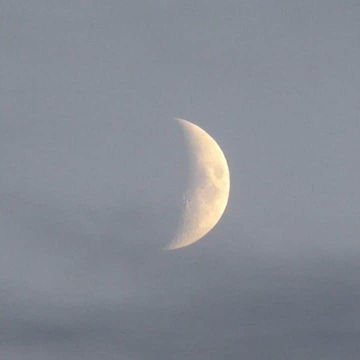 トラモンターノのインスタグラム：「🌙 Goodnight moon.  tramontano.it  #Tramontano #TramontanoNapoli」