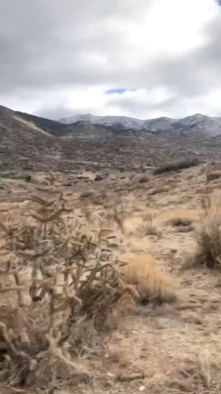 ジョンス のインスタグラム：「7,000 feet above the competition getting right 💪🏽💯. #active#rest  . . @_theoneinall  @visitabq  @jacksonwink_mma  @striking101  @lms.nyc  . . #share#post#exploremor#albuquerqu#trailrunning#elevate#travelphotography#oneshot」