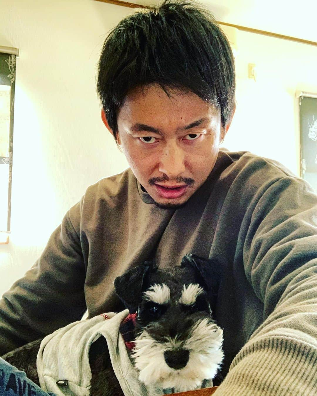 吉永啓之輔さんのインスタグラム写真 - (吉永啓之輔Instagram)「🐶🐶🐶」1月31日 17時34分 - keinosuke91