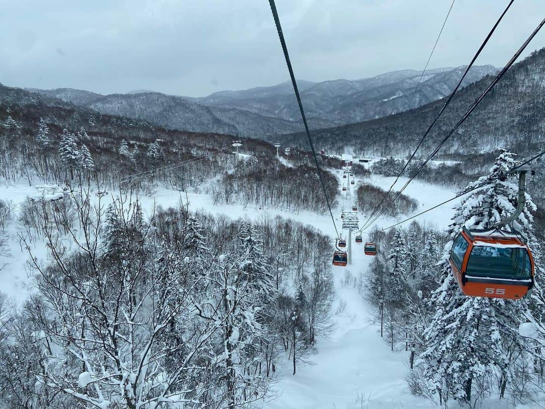 高橋佑奈さんのインスタグラム写真 - (高橋佑奈Instagram)「雪景色☃️☃️ リフトからの眺めが最高だったな〜〜 . 今度はスノーボードに挑戦すると決めた🏂 . #ブラキタ #週末ふらっと #スキー」1月31日 16時12分 - yuuuunadon