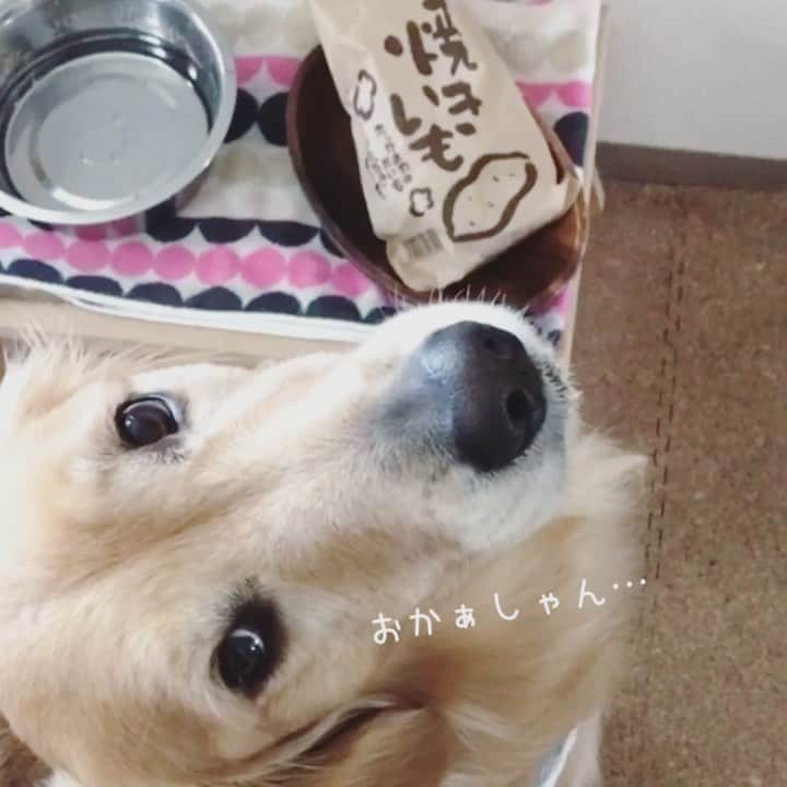 ikumiのインスタグラム