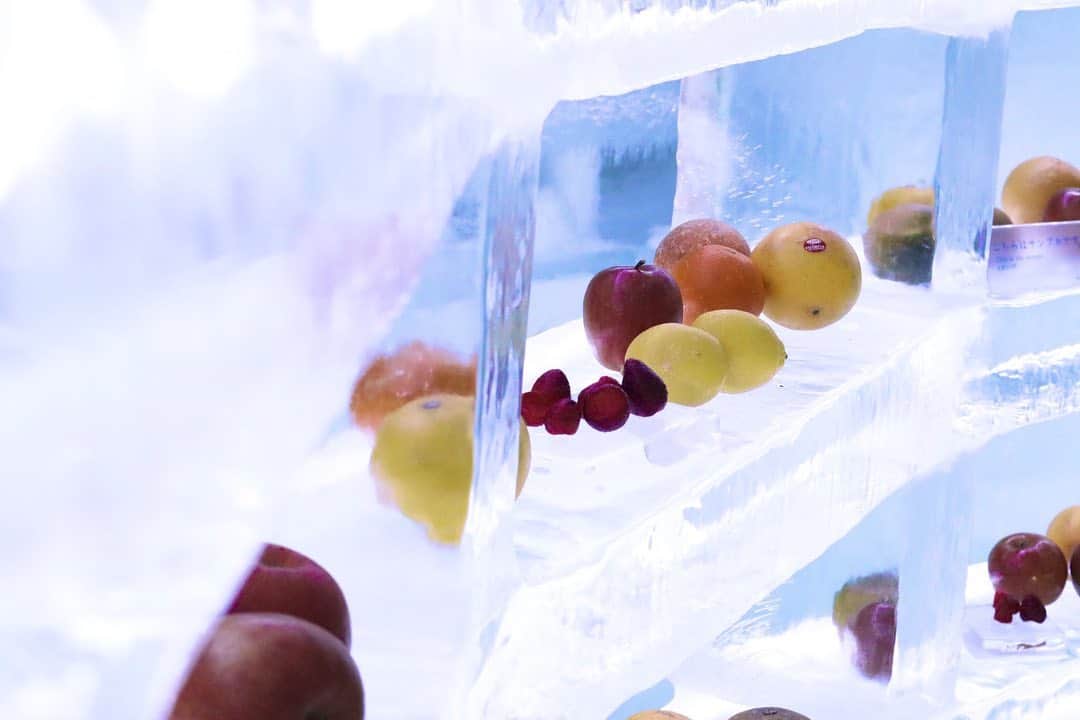 星野リゾート　トマムのインスタグラム：「Ice fruits shop 氷のフルーツショップ  氷の街、アイスヴィレッジにある氷のフルーツショップは一面、凍らせたフルーツがずらり。店内では、フルーツをまるごと削るフルーツかき氷やフローズンフルーツドリンクなどが楽しめます。串に刺したフローズンフルーツ串など、手軽に楽しめるメニューも。フルーツショップのもう一つのドームには氷のテーブルとイスがあり、こちらで召し上がりいただけます。  #HoshinoResorts #星野リゾート #tomamu #hoshinoresortstomamu #星野リゾートトマム #トマム #risonaretomamu #リゾナーレトマム #risonare #リゾナーレ #北海道旅行 #星野集團 #Hokkaidotrip #アイスヴィレッジ #icevillage」