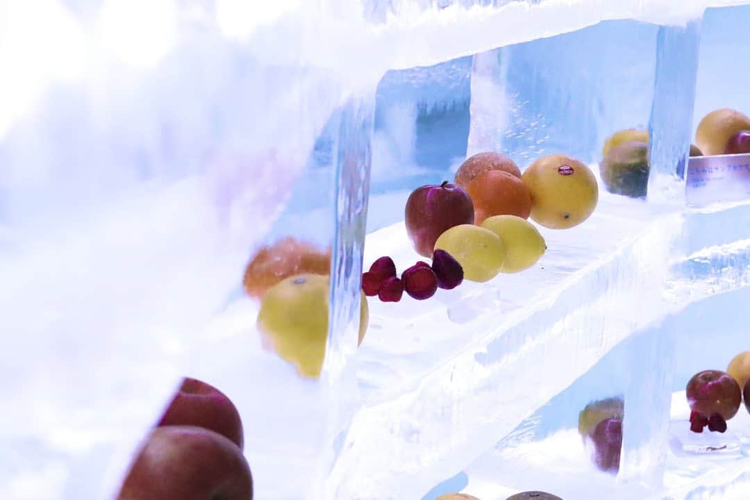 のインスタグラム：「Ice fruits shop 氷のフルーツショップ  氷の街、アイスヴィレッジにある氷のフルーツショップは一面、凍らせたフルーツがずらり。店内では、フルーツをまるごと削るフルーツかき氷やフローズンフルーツドリンクなどが楽しめます。串に刺したフローズンフルーツ串など、手軽に楽しめるメニューも。フルーツショップのもう一つのドームには氷のテーブルとイスがあり、こちらで召し上がりいただけます。  #HoshinoResorts #星野リゾート #tomamu #hoshinoresortstomamu #星野リゾートトマム #トマム #risonaretomamu #リゾナーレトマム #risonare #リゾナーレ #北海道旅行 #星野集團 #Hokkaidotrip #アイスヴィレッジ #icevillage」