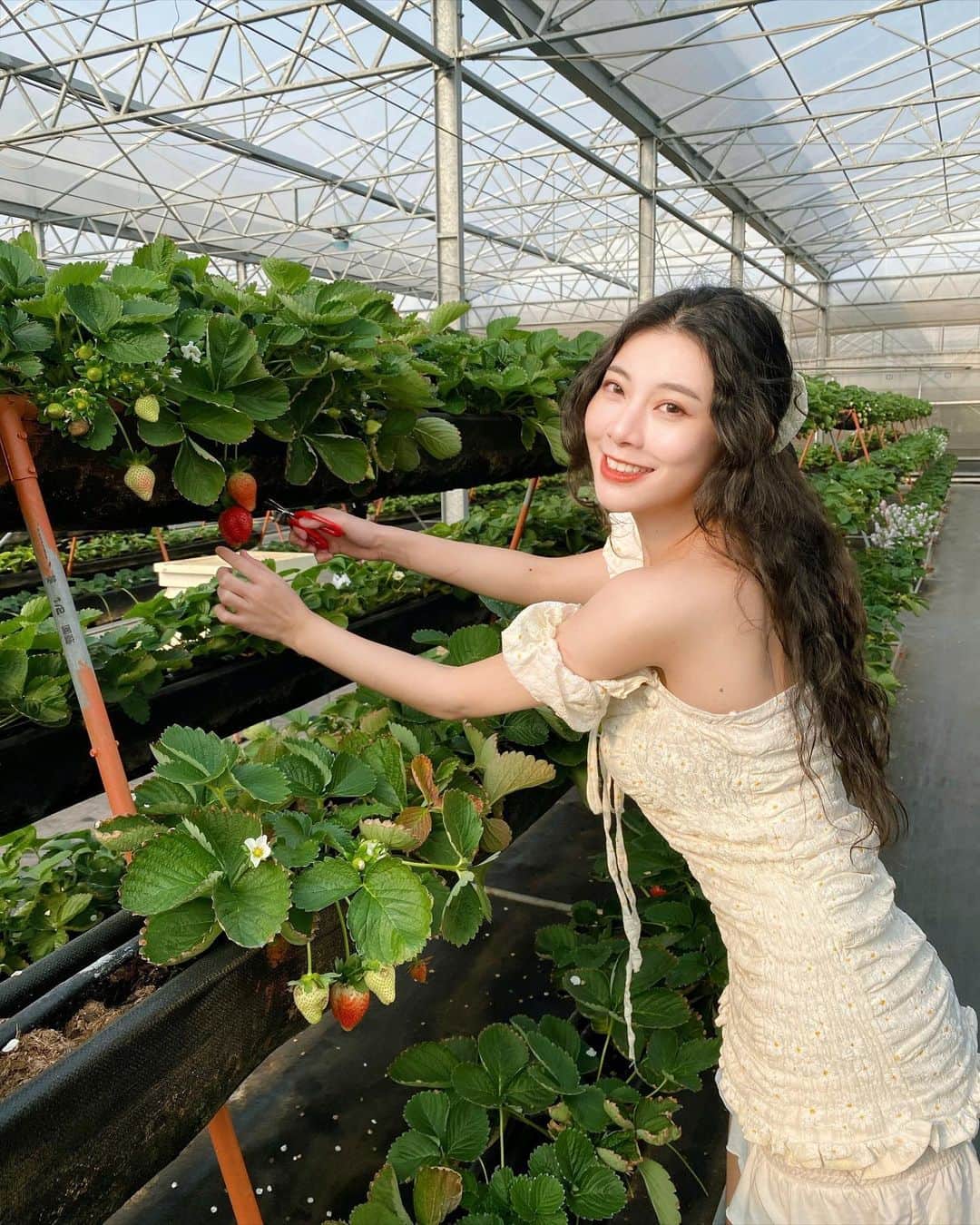 張香香のインスタグラム：「🍓🍓🍓 唯一一張可以的照片🤣」