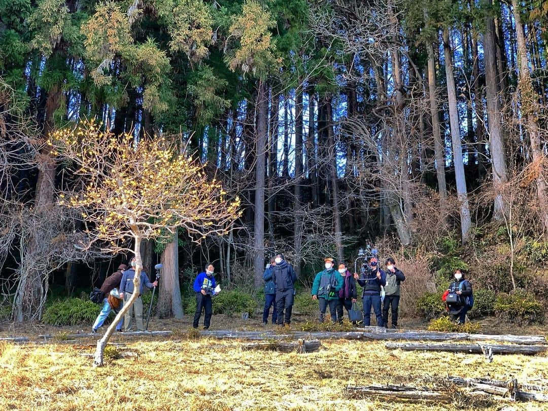 井浦新のインスタグラム