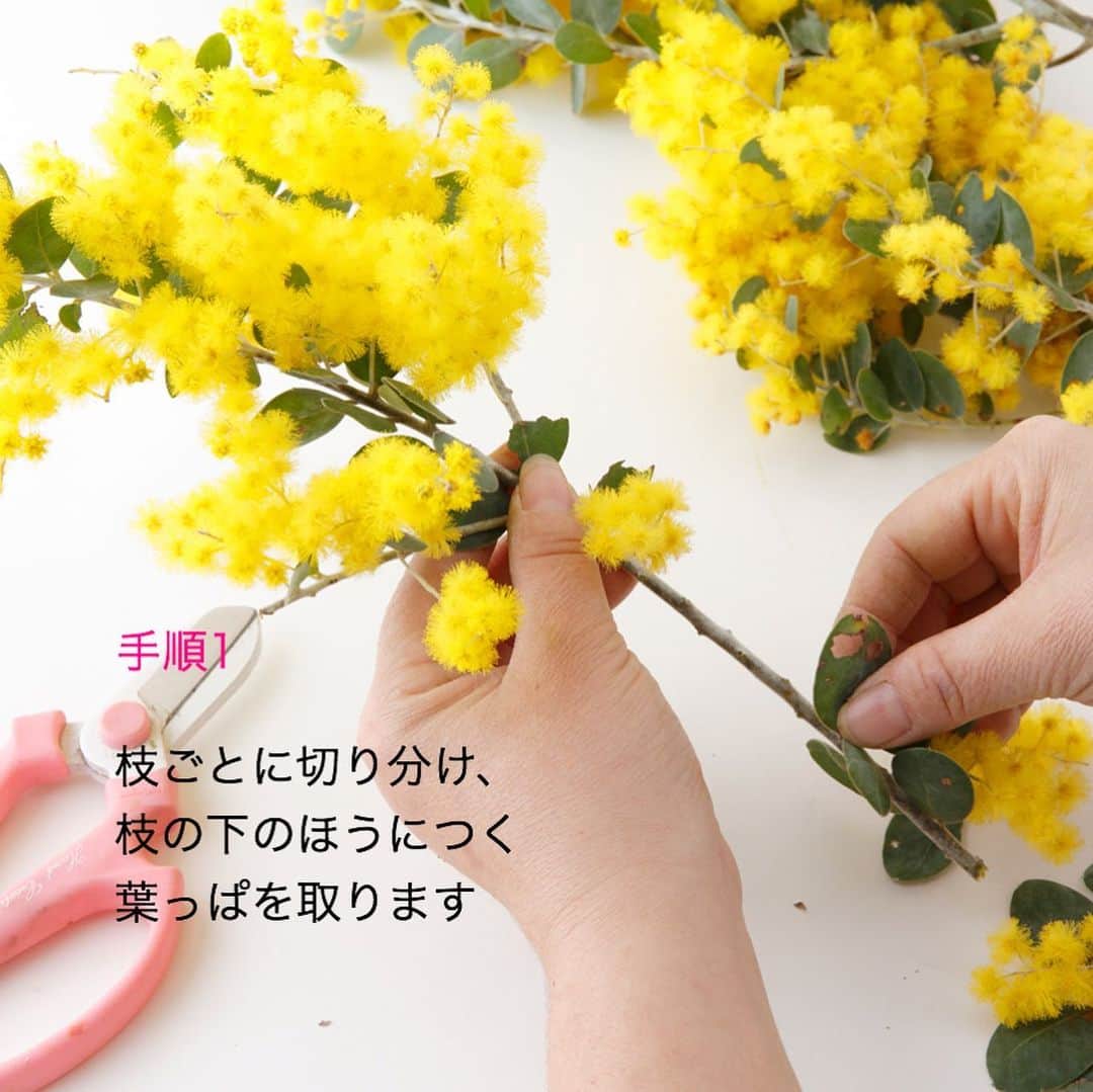 雑誌『花時間』さんのインスタグラム写真 - (雑誌『花時間』Instagram)「おはようございます。人が集まれるようになったら、何をしたいですか？﻿ ﻿ 私の場合は﻿﻿ わいわいしゃべって﻿ 食事して﻿ みんなに花束を﻿プレゼントすること💐﻿ ﻿ ミモザの季節なら﻿ こんなふうにしたいな。  大きなアレンジと見せかけて じつは、みんなのぶんの花束💐﻿ ﻿ 用意するものは﻿ ・ミモザ﻿ ・パンジー﻿ ・アイビーの鉢﻿ ・ヤシャブシなどの長い枝﻿ ・バスケット🧺﻿ ・花束を束ねるひも﻿ ・布に花言葉をスタンプしたタグ🏷﻿ ﻿ 作り方は写真をご覧あれ。  バスケットに 花束を入れるだけでもいけれど、 枝やグリーンが加わると よりおしゃれな演出になります。  ﻿実際にまねるときは﻿ 花束は保水💧してくださいね。﻿ ﻿ お花屋さんがやってるみたいに﻿ 水💧を含ませたキッチンペーパーで﻿ 茎の切り口を覆ってから、﻿ アルミホイルでくるみます。﻿ ﻿ 楽しいだろうな…と﻿ 説明を書きながら﻿ 夢想中（笑）﻿ ﻿ 笑顔で会える日のために﻿ 皆さん、頑張りましょうね！﻿ ﻿ では、本日も元気smile😊😊😊で﻿ よい休日をお過ごしください。﻿ by ピーターパン﻿ ﻿ ﻿花 @fleuriste_petitapetit  写真 @satomi.ochiai78  #flowers #flowerslovers #flowerstagram #flowerarrangement  #花時間 #花時間2021  #花好き #花藝 #花好きな人と繋がりたい #花が好きな人と繋がりたい #花のある生活 #お花のある暮らし #花を飾る #花を飾る生活  #ミモザ #mimosa  #パンジー #花束 #花の贈り物 #バスケットアレンジ  #かわいい花 #きれいな花 #真珠葉アカシア  #ビタミンf #pansy  #花言葉 #花屋さんへ行こう」1月31日 9時03分 - hanajikan_magazine