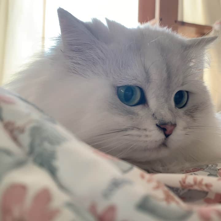 후추네큰언니のインスタグラム