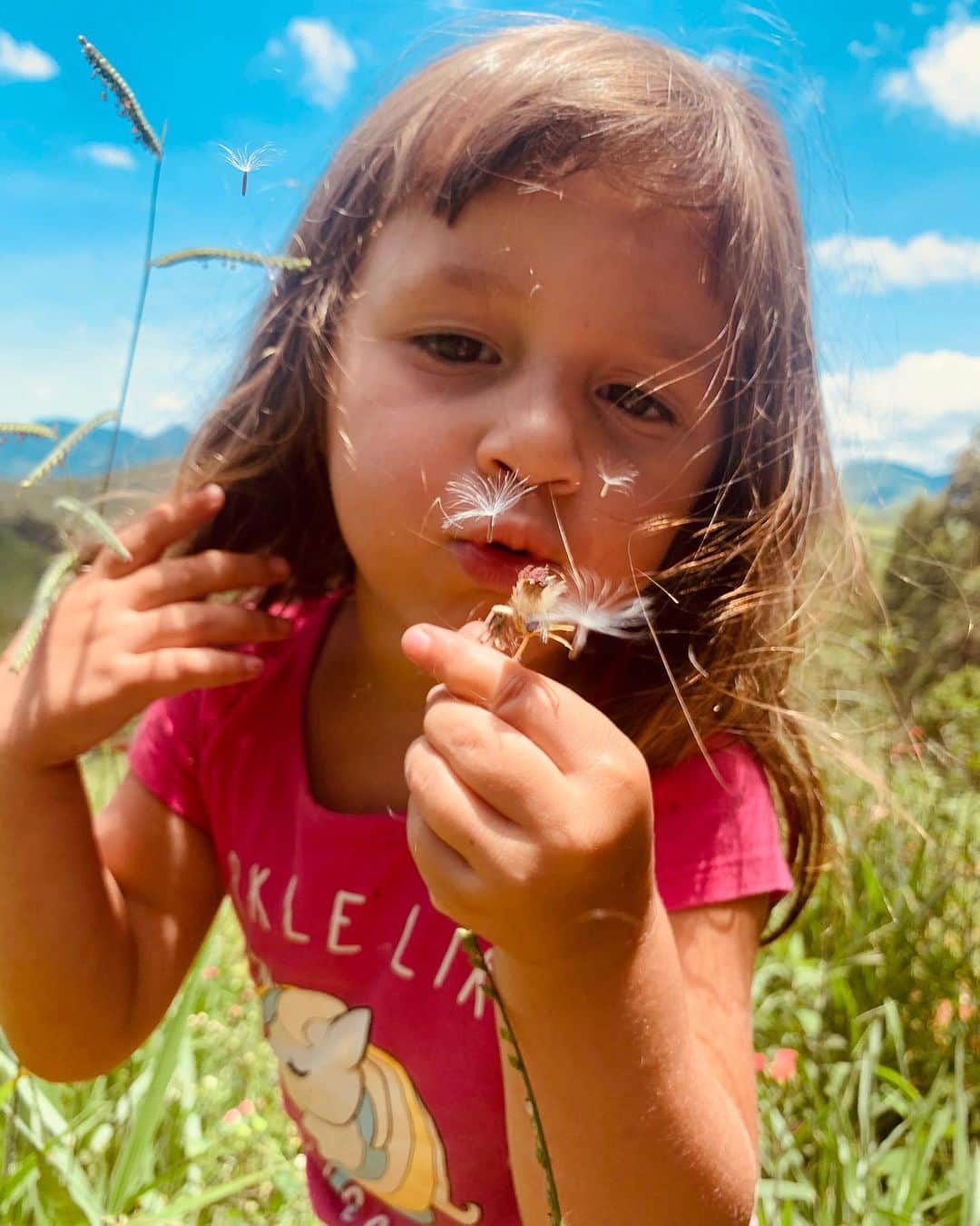 Yanna Lavigne 稲垣アンのインスタグラム：「essa foto é meu fundo de tela 💜 e ela ama dente-de-leão.」