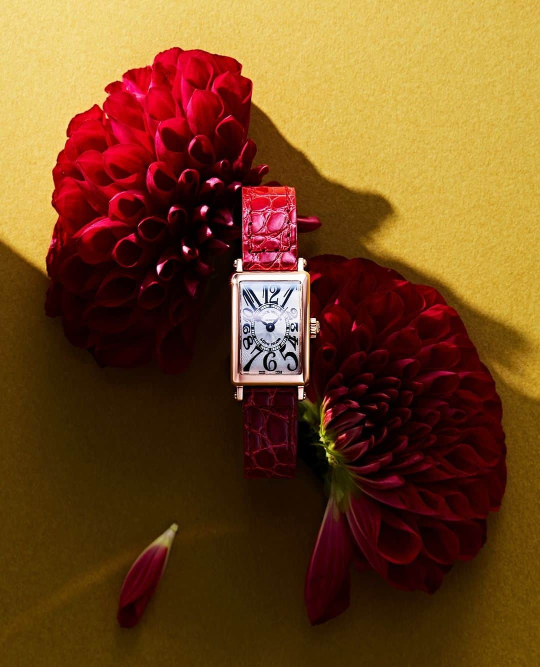 FRANCK MULLER JAPANのインスタグラム