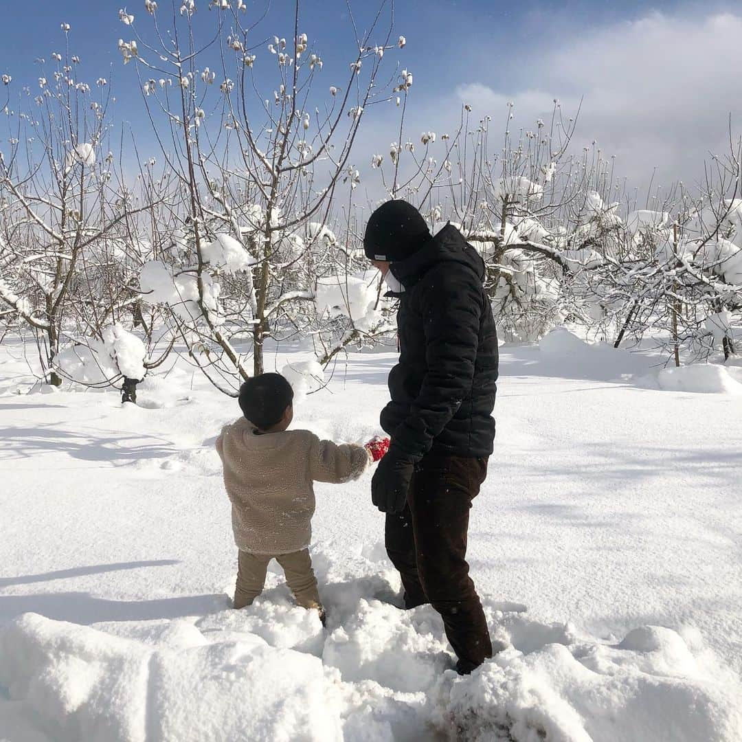 菅野広恵さんのインスタグラム写真 - (菅野広恵Instagram)「＊＊＊﻿ 以前 山形にある　@koufuann_itofarm さんの畑にお邪魔させて頂いた時の写真🍇🍑🍎﻿ ﻿ 今はコロナもあり、中々生産者さんの所に取材に行けないないけど、電話やzoomで生産者さんに取材させて頂いたり、prのための作戦会議などしてます☺️﻿ ﻿ @koufuann_itofarm さんの10代目あきちゃんは、山形で魅力ある多品種の果物を生産してます😆✨﻿ ﻿ 今はこの雪の時期なので、果物は6月から﻿ 「さくらんぼ」がスタート😍🍒﻿ さくらんぼは、なんと、この時期から作業して6月に出来上がると言うめちゃくちゃ手間暇かかる果物🥺﻿ だけど、寒空の下でも、より美味しい果物になるように作業している姿って本当素敵すぎ😭だからこそ、一粒一粒大切に食べようとより思うよね🥺✨﻿ どの農産物でもそうですが、生産者さんの思いを知ると、食べる楽しみ、美味しさが増します☺️私たちが食べているものは、生産者無くしてはないですからね。﻿ ﻿ さくらんぼは、鮮度が命なので、先行予約販売を予定してます🥰﻿ また、インスタでもお知らせさせてください😆﻿ （2枚目の写真がさくらんぼの木） ﻿ ﻿ 現在の @koufuann_itofarm では、スーパーフードの乾燥菊芋が @vegetaiment ベジ通販より販売中です😊﻿ 剥くのが手間な菊芋が、時短に料理が出来ちゃいます♡﻿ こちら、無農薬で生産から、加工まで @koufuann_itofarm さんが行っております😉﻿ レシピも商品ページに掲載中なのでよかったらご覧ください😊﻿ ﻿ #菊芋 #さくらんぼ　#生産者　#生産者応援プロジェクト  #農家さんと繋がりたい  #農家直送  #農家レシピ  #スーパーフード #食べて応援　#食べる美容　#美容食　#農家　#生産者直送　#果物王国　#果物　#フルーツ」1月31日 10時18分 - hiroesugano