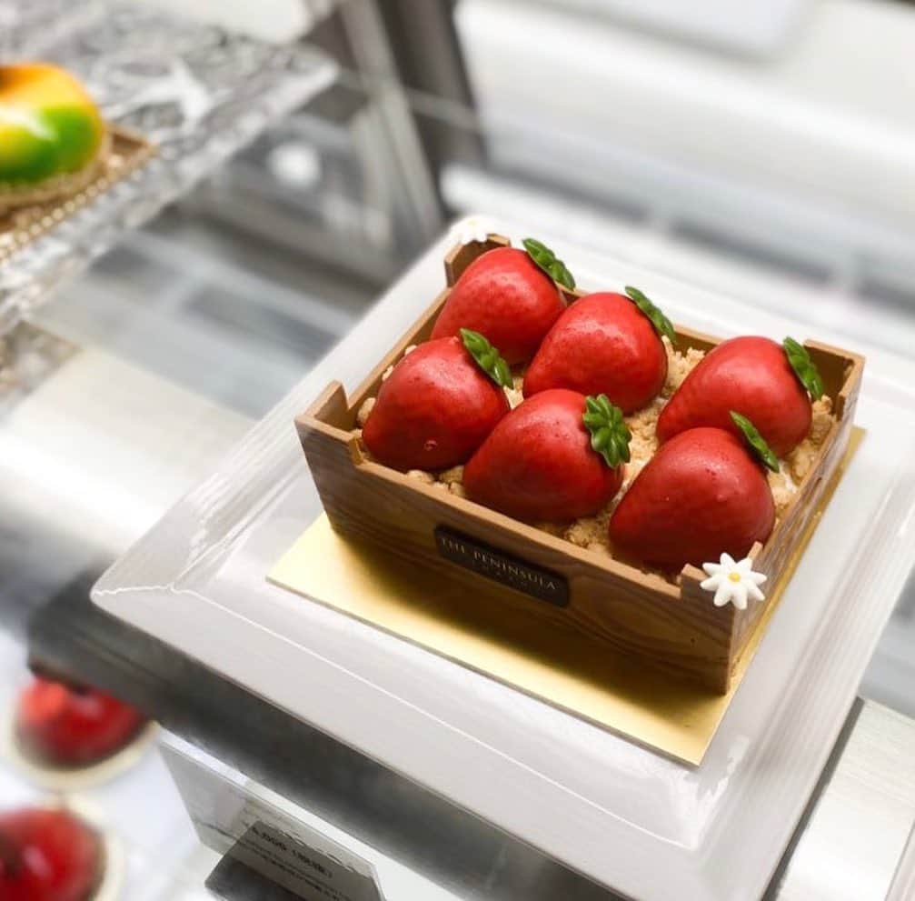 市川歩美のインスタグラム：「ザ・ペニンシュラ ブティック＆カフェ（ザ・ペニンシュラ東京）で、チョコレートを使ったかわいいケーキ 「いちご狩り」を発見🍓🍓🍓❣️❣️❣️  狩りたーい、狩って狩ってー🍓🍓🍓といいたい可愛らしさ🥰  4人くらい向けサイズで、4000円（税別）です。イチゴにはインスピレーションフレーズ、外側はドゥルセが使われています♡  #チョコレート #チョコレート大好き #チョコレート好き #ショコラ #チョコレート好きと繋がりたい #チョコレートケーキ #chocolate #カカオ #いちごスイーツ #ilovechocolate  #chocolat #chocolatelovers  #ペニンシュラ東京 #ザペニンシュラ東京 #thepeninsulatokyo」