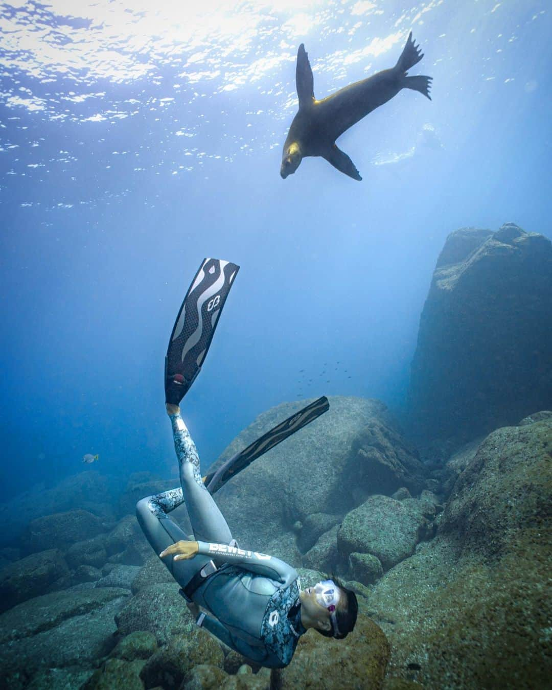 二木あいさんのインスタグラム写真 - (二木あいInstagram)「😜 ﻿ ﻿ Photographed @luismartapia y @octaviobullsharkdiving﻿ ﻿ #underwater #underwaterworld #onebreath #zen #health #love #happiness #smile #life #calmness #peace #mindfulness #communication #mind #serenity #beauty #oneness #interaction #nature #ocean #earth #coexist #connection #message #mymizu #blancpainoceancommitment #環境省 #森里川海プロジェクト #海アンバサダー﻿ ﻿ #遊んでいるのか遊ばれているのか 😜」1月31日 12時09分 - aifutaki