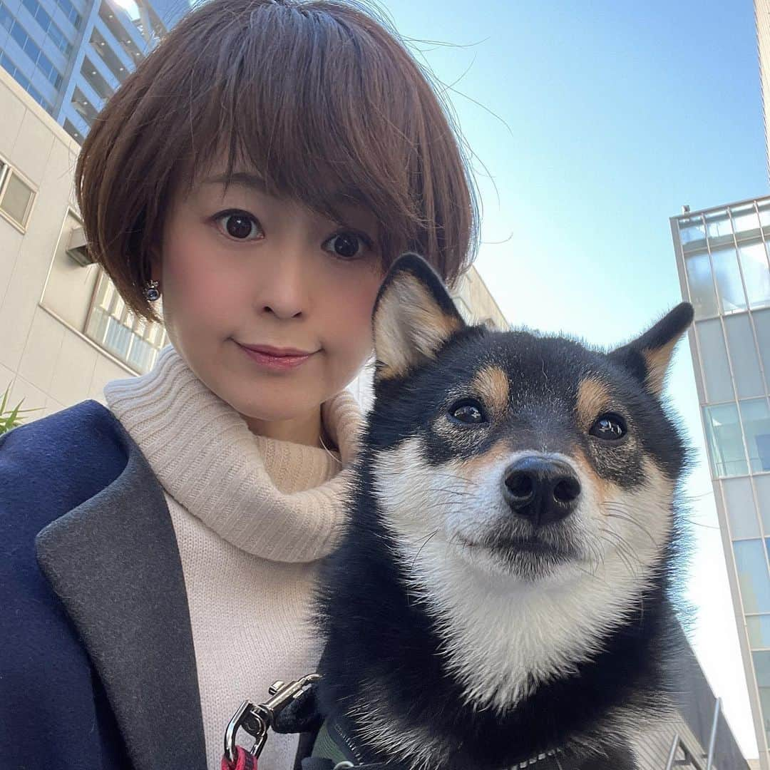 岩瀬玲さんのインスタグラム写真 - (岩瀬玲Instagram)「一月も今日で終わり めちゃめちゃ早くないですか！  コロナになってから一年 ほんと早いです こんな長引くと思わなかった💦  一年あったら何かできたな、と思いますが過ぎた時間はもう帰ってこないから これから何かしたいなと思います  何かしたいなと思うといつも語学が浮かぶ 去年はオンライン英会話をやって楽しかったからまたやるかハングルか中国語勉強したいな〜  #月末 #振り返りと抱負  #いい天気」1月31日 12時09分 - akirakkuma