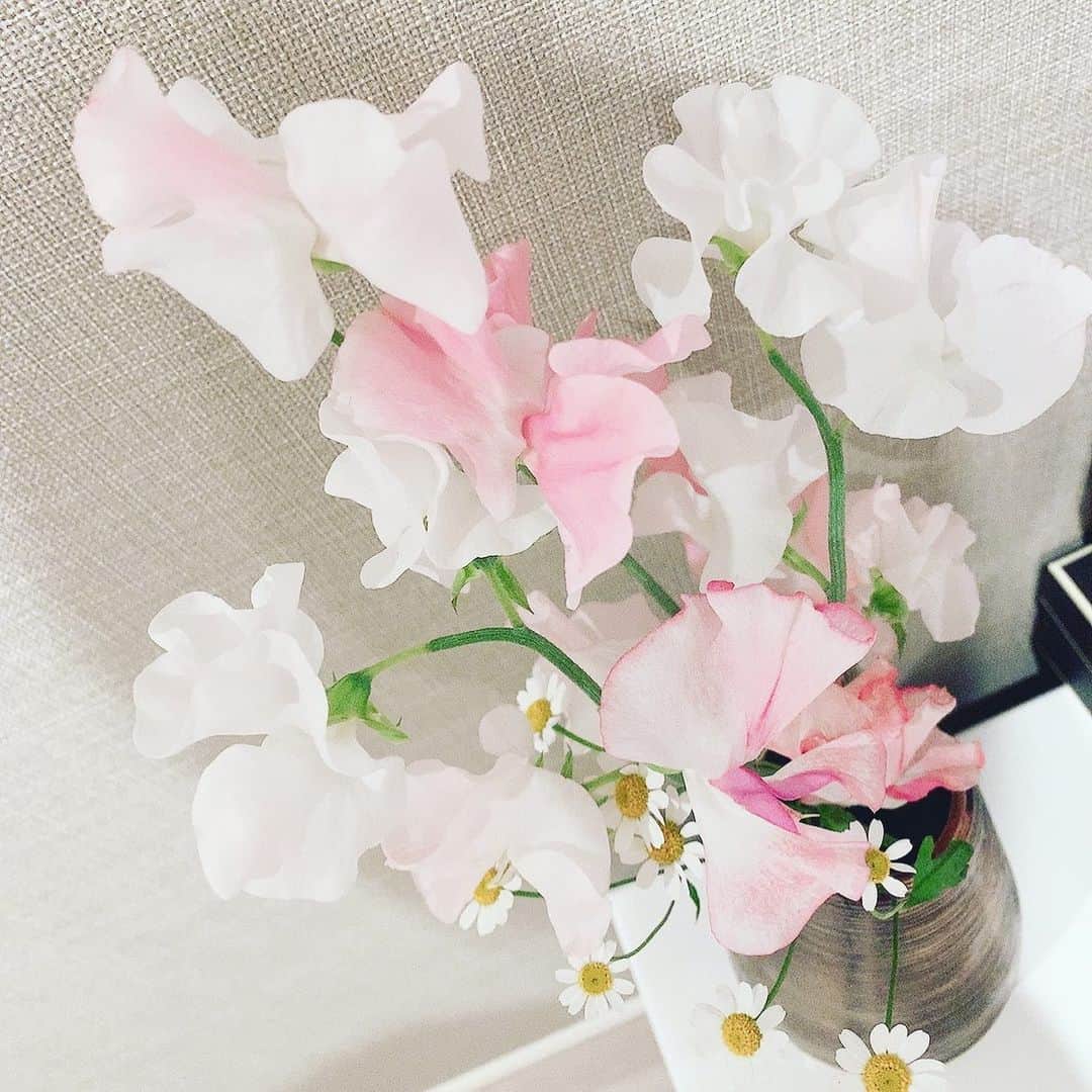 樺島彩のインスタグラム：「少し前に飾っていたスイートピー💐 花屋の前を通ったら可愛くて思わず購入しました😃 他の色も買いたいなぁ♡」