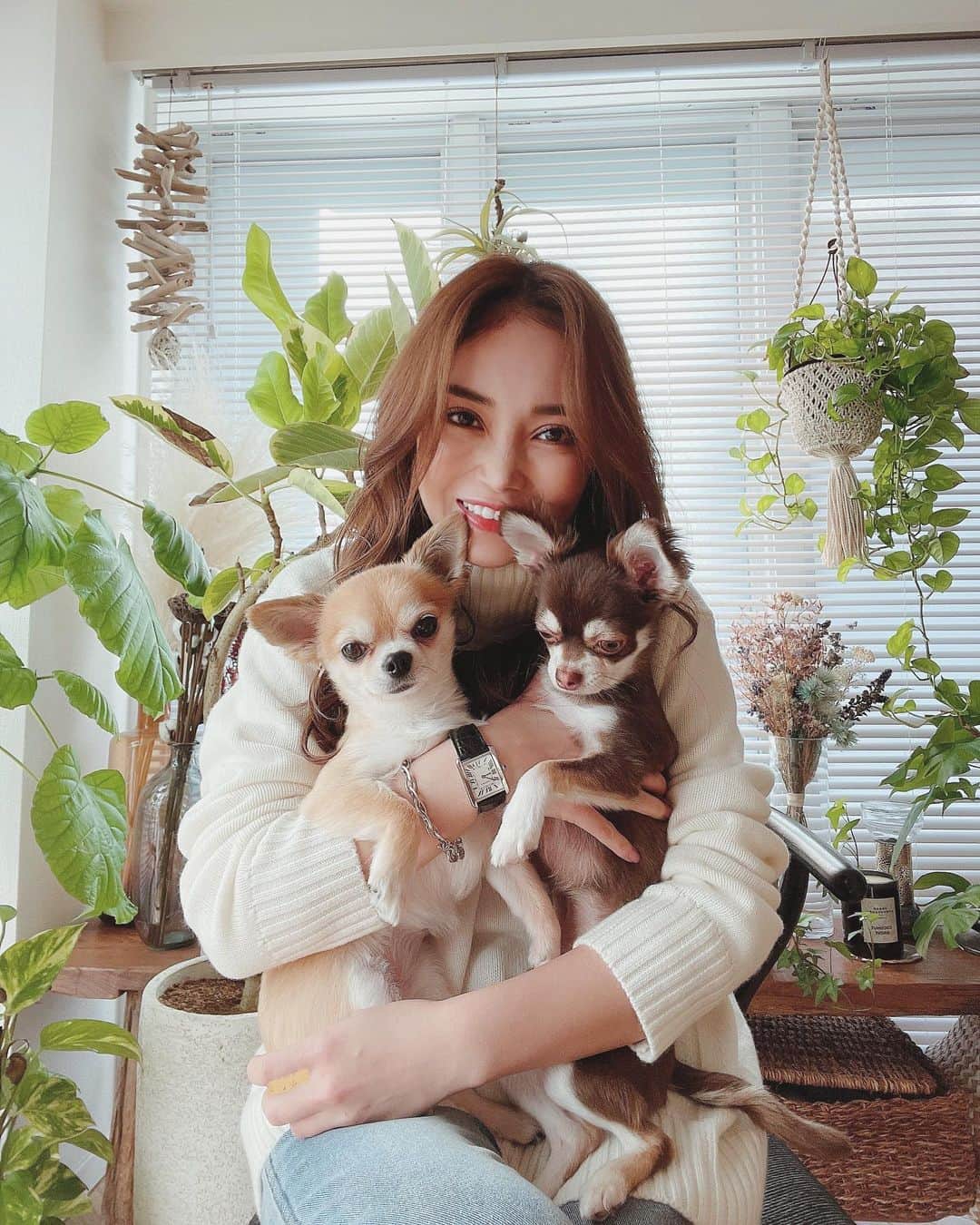 𝙺𝚢𝚘𝚔𝚘のインスタグラム：「私の宝物♡家族写真w やっぱり男の子のハウルくんはママにべったりですね😌💓 ココさんはおすましお姉様😘 もうだいぶ私よりお姉様になった！ もうすぐ6歳…！　今年のお誕生日はどうしましょう🎂 . . . #chiuahua #チワワ#チワワしか勝たん #チョコタン#レッド#多頭飼い #宝物#大切な家族 #観葉植物#インテリア#インテリア好き#diy女子#家族写真」
