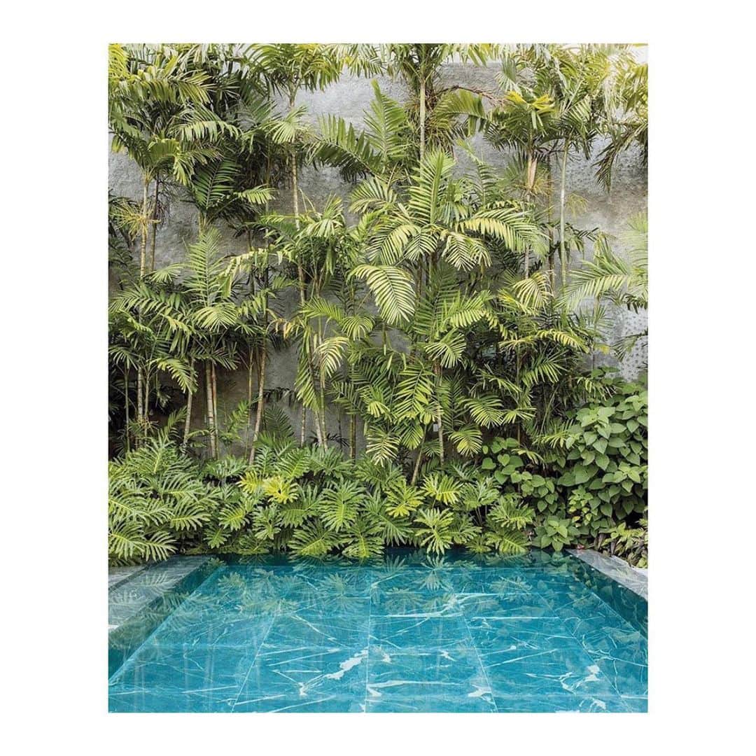 のインスタグラム：「Tropical modernism via @isabellabstudio ✨#OscarNiemeyer #MagicalSpaces #MISAworld」