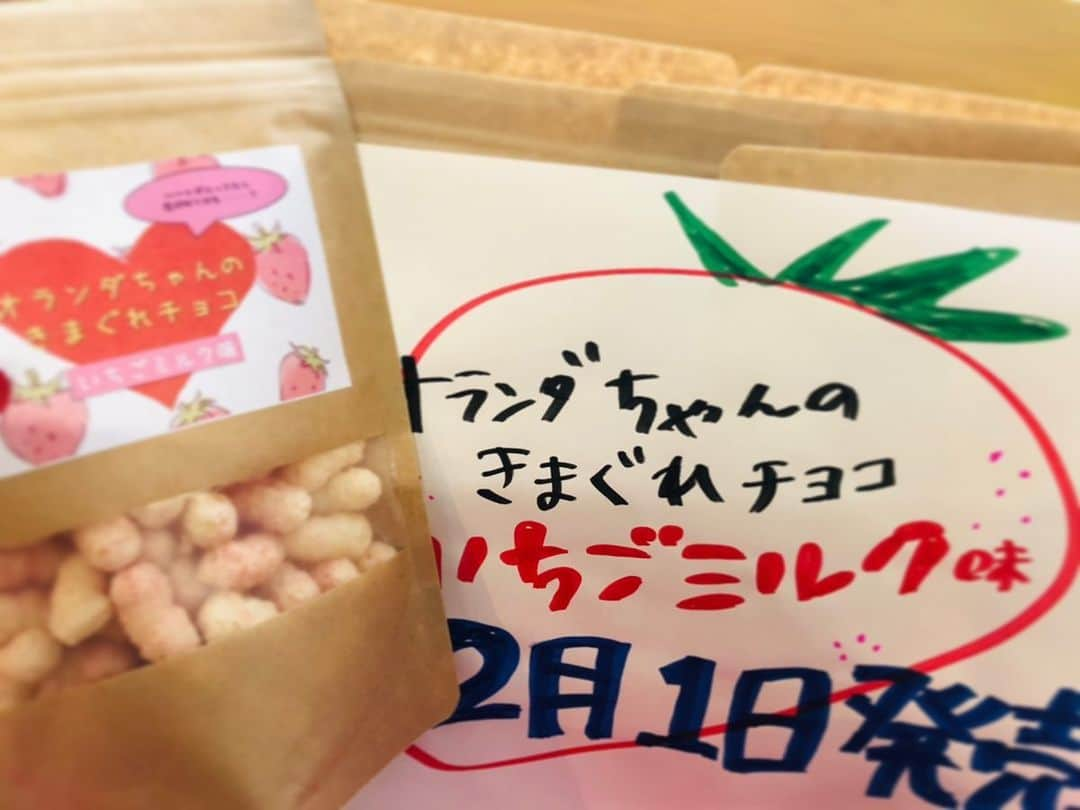 酒田米菓さんのインスタグラム写真 - (酒田米菓Instagram)「👀👀👀👀 ！！！数量限定！！！  明日より発売🍓  『オランダちゃんのきまぐれチョコ　いちごミルク🍓🥛』味  なかには❤️の形も😳😳😳  いちごとミルクがしっかり染み込んでいます🤤  ご来店お待ちしております♪ お越しの際は気をつけてお越しくださいね☺️  #酒田米菓 #オランダせんべい #オランダせんべいファクトリー #オランダ#観光#カフェ#せんべい#いちご #ミルク」1月31日 14時08分 - sakatabeika_official