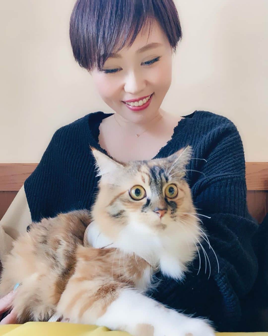 のインスタグラム：「至福の時間🐱🐾 可愛すぎるニャーン😍❤️😍❤️ #ネコ #猫」
