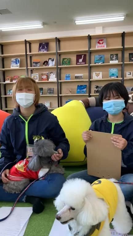 【公式】福岡ECO動物海洋専門学校のインスタグラム：「皆さんから募集した質問に在校生がお答えしていきます🌟」