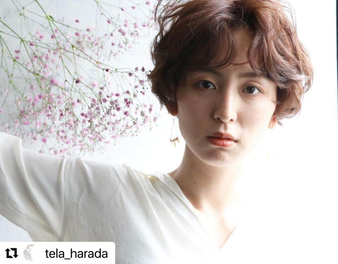 THROW 【スロウ】さんのインスタグラム写真 - (THROW 【スロウ】Instagram)「#Repost @tela_harada with @make_repost ・・・ #霞草　#カスミソウ  は  花言葉は「清らかな心」「無邪気」「親切」「幸福」。  らしいです。  ただ春らしく、ピンクのカスミソウが可愛くて買っただけですが、なかなか深い意味がありました。笑  モデル　と　美容師。  その作品から感じ取って御来店頂くお客様。  全てはフラットでありたい。  気負いせずに美容室に脚を運んで頂きたい。  求めるスタイルや美容室へ脚を運ぶハードルはそんなに高くありません。  初対面のモデルさんと美容師である僕たちも、コミュニケーションを取るのも初めてで、  好みのスタイルをすり合わせるのも初めてで創りました。  みな同じ。  新しい人(美容師)に出会い、新しいスタイルに挑戦するのは不安ではなく、期待や楽しみであって欲しい。  緊急はしなくても大丈夫です✨  僕たちも緊張しながら、試行錯誤しながら新しいデザインを求め、  創造することに不安や緊張を負っています。  新しいデザインや新しい可愛いに出会うのはお互い初めて。  擦り合わせ、知ることが大切。  ご相談下さい✨  #くびれミディ #くびれスタイル  #レイヤーボブ  #レイヤーカット  #レイヤーミディアム  #レイヤー #くびれボブ  #ウルフカット  #ウルフボブ  #ウルフレイヤー  #ウルフヘア  #くびれショート #トランクスショート #トランクスヘア #グラボブ #前下がりショート #ボブとショートの間  #高再現性スタイル  #ミディアムレイヤー #ピンクカラー #ピンクグレージュ #レイヤーボブ  #三宮美容室 #神戸美容室 #元町美容室 #throwcolor  #スロウカラー」1月31日 14時58分 - throwcolor