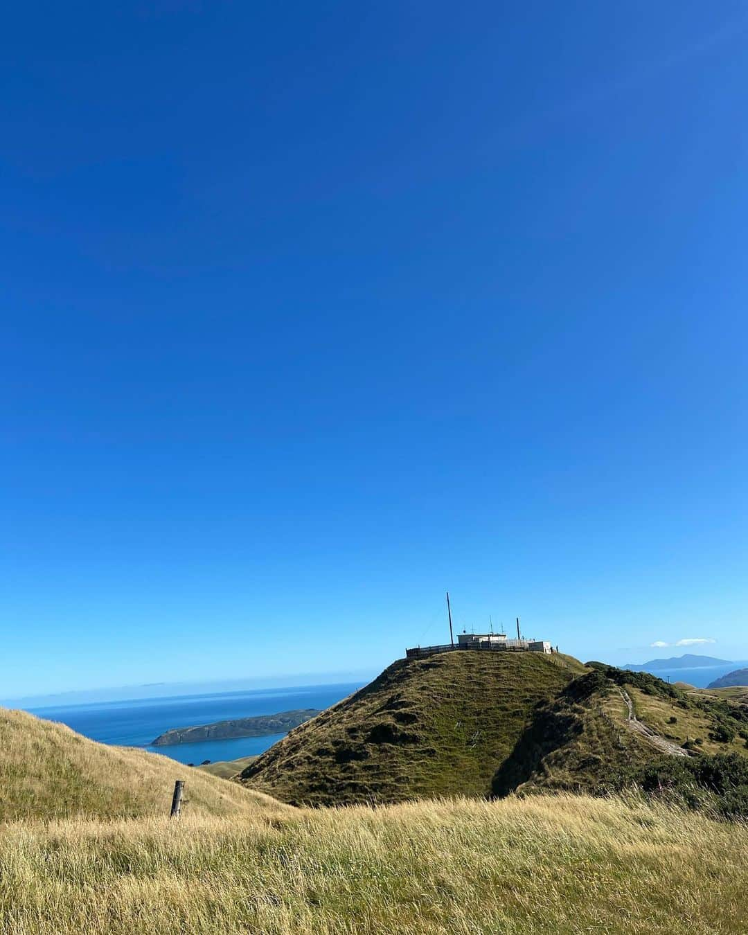 サム・ライリーのインスタグラム：「Mt Rangituhi this morning 🌿🌏」