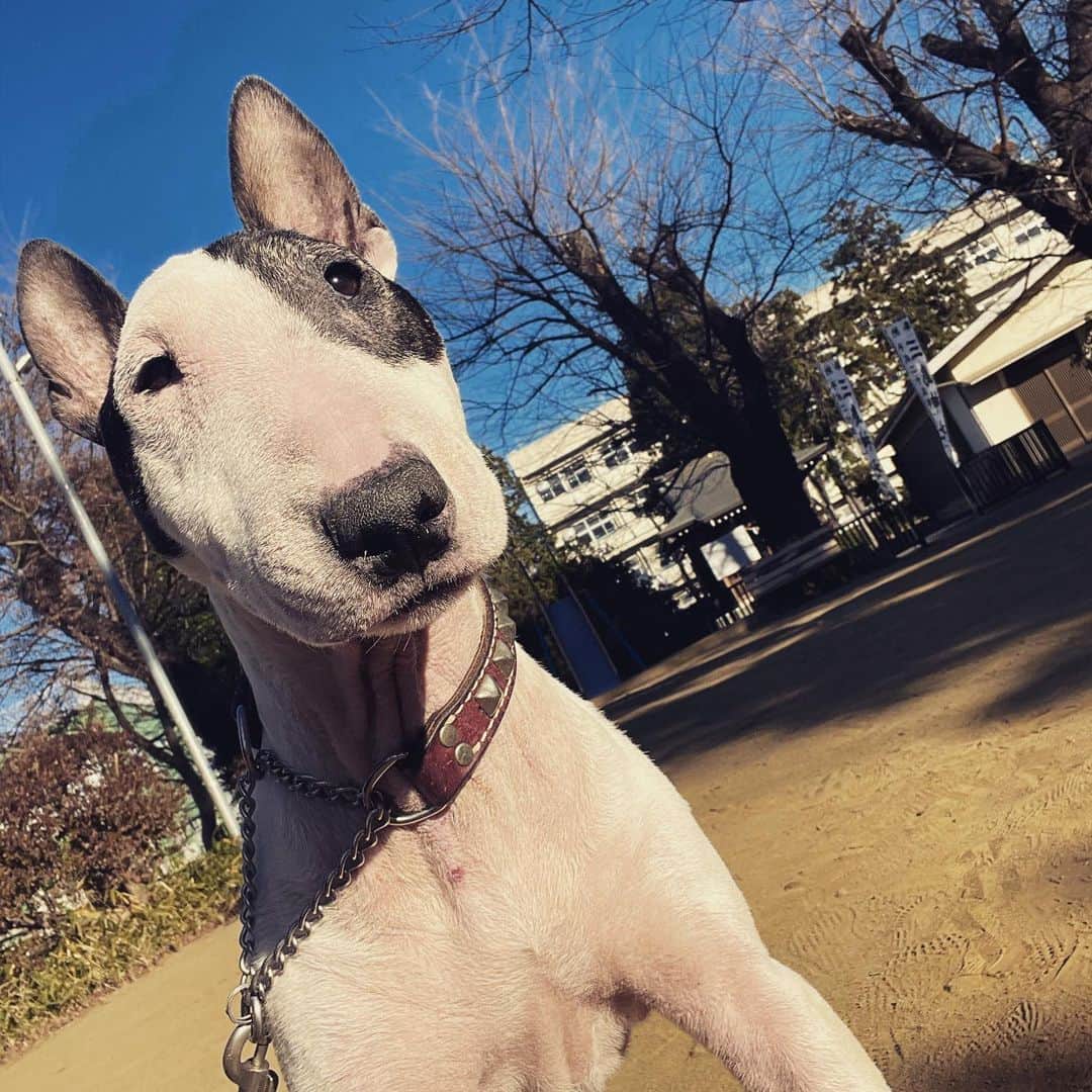 Q太郎のインスタグラム
