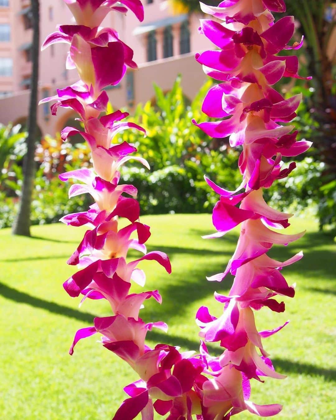 ロイヤル・ハワイアン・センターさんのインスタグラム写真 - (ロイヤル・ハワイアン・センターInstagram)「レイメイキングのクラスが再開しています。ハワイ気分をお楽しみ下さい😊  #Repost @yukina_love_hawaii ・・・ 明日からまた1週間良い週になりますように✨🌺🌴  そして明日から2月！  Aloha🤙   #loveislove #hawaii #lovehawaii #hawaiian #hawaiistyle #hawaiilife #waikiki #honolulu #resort #beach #sea #ocean #heven #kailua #resortwedding #sightseeing #hawaiistagram #beachstagram #beachstyle #surf #hula #beautifulworld #beautiful  #happy #茅ヶ崎とワイキキは姉妹都市 #ハワイ好きな人と繋がりたい #ハワイカメラガールズ #instalove」2月1日 2時47分 - royalhwnctrjp