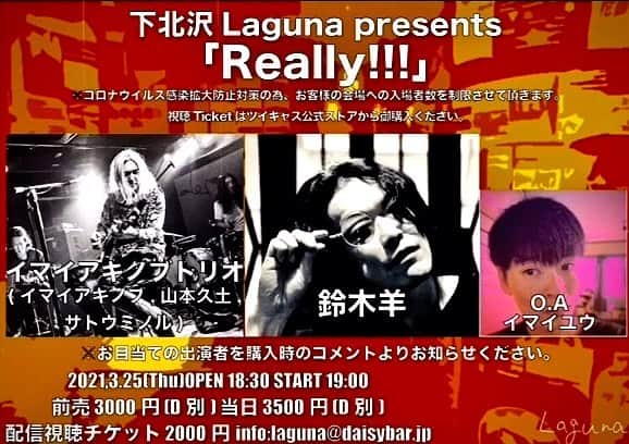 イマイアキノブのインスタグラム：「🥀3.25(木) @ 下北沢Laguna  『Really!!!』  出演 イマイアキノブトリオ (イマイアキノブ 山本久土 サトウミノル) 鈴木羊  O.A イマイユウ  開場 18:30  開演 19:00  前 ¥3000(D別)  当 ¥3500(D別) 会場観覧チケット予約 laguna@daisybar.jp  配信視聴チケット  ¥2000 購入ページURL  https://twitcasting.tv/c:laguna_shimokita/shopcart/52627  ✴︎コロナウイルス感染拡大防止対策の為 会場への入場者数を制限させて頂きます 視聴チケットはツイキャス公式ストアから御購入ください  問い 下北沢Laguna  世田谷区北沢2-2-3 エルサント北沢1F ☎︎ 03 6903 4185  #下北沢laguna  #鈴木羊 #イマイユウ #山本久土 #サトウミノル #イマイアキノブ  #imaiakinobu  #livemusic  #livestreaming」