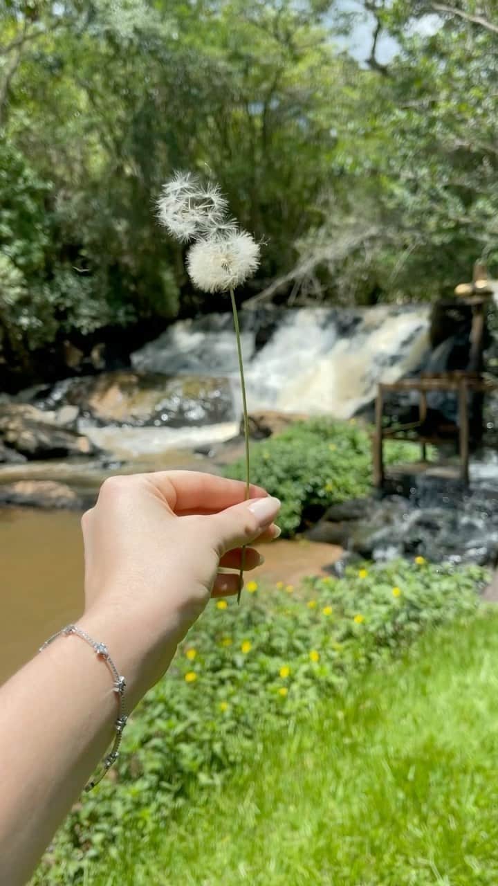 Camila Queirozのインスタグラム：「Vento vem tocar Minha pele alecrim Tempo novo e só Restou terra no jardim  Vejo florescer o amor Me faz feliz Procurei olhar O destino como eu quis   Vento alecrim/@gilsonsoficial」