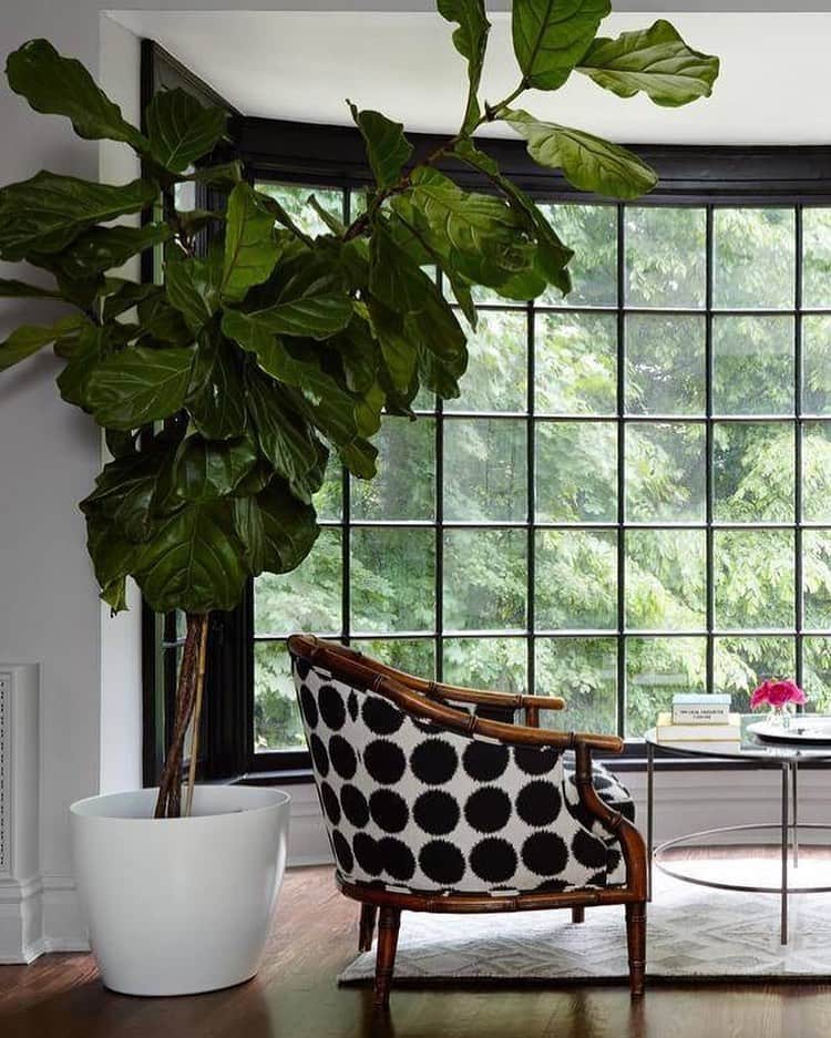 Homepolishさんのインスタグラム写真 - (HomepolishInstagram)「Use flora and fauna to build off an inspiring #WFH view that doubles as a scenic spot for some truly indulgent #SelfcareSunday pampering. Design by @jentalbotdesign; photo by @dustinforest.  Discover more pro tips and find design inspo at the link in bio.」2月1日 1時59分 - joinfreddie