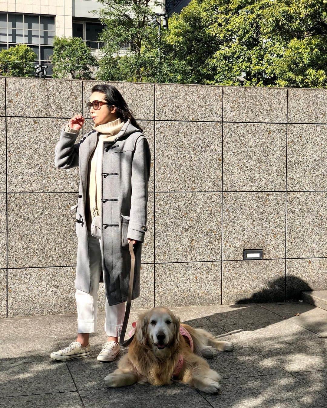 高橋ひとみさんのインスタグラム写真 - (高橋ひとみInstagram)「ももえの退屈ポーズが出たのでみんなでお散歩🐾」1月31日 18時21分 - hitomi_momoe