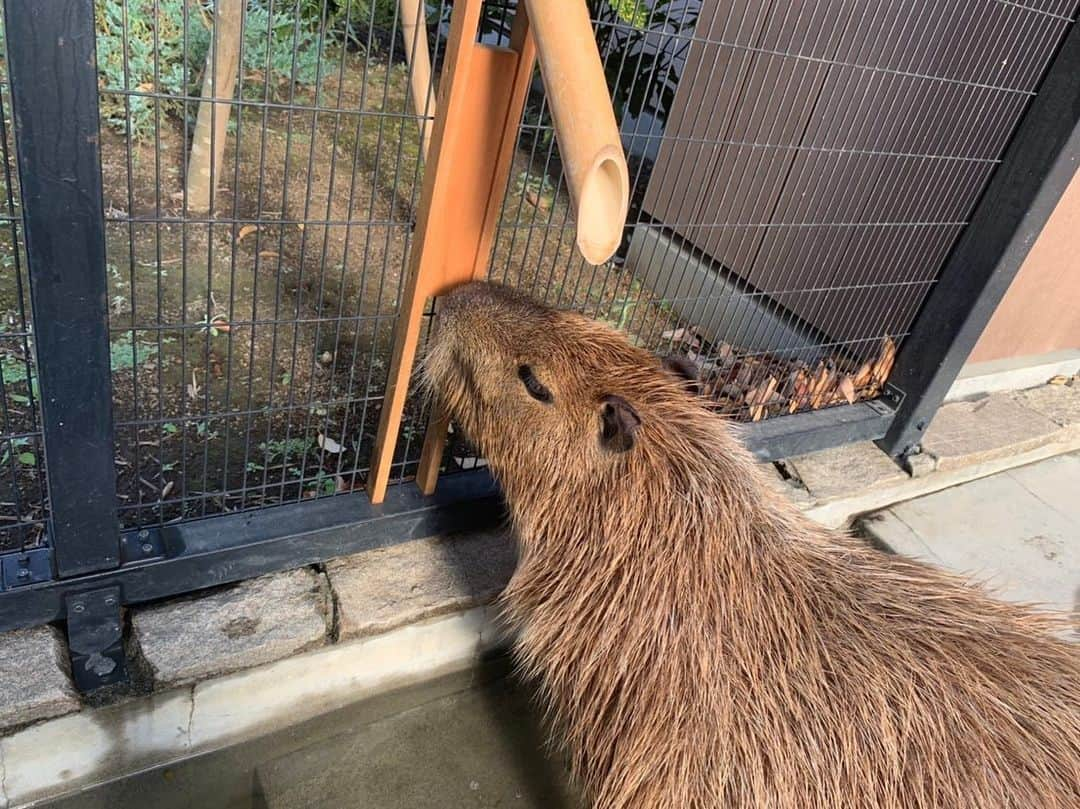 【公式】東京コミュニケーションアート専門学校ECOのインスタグラム