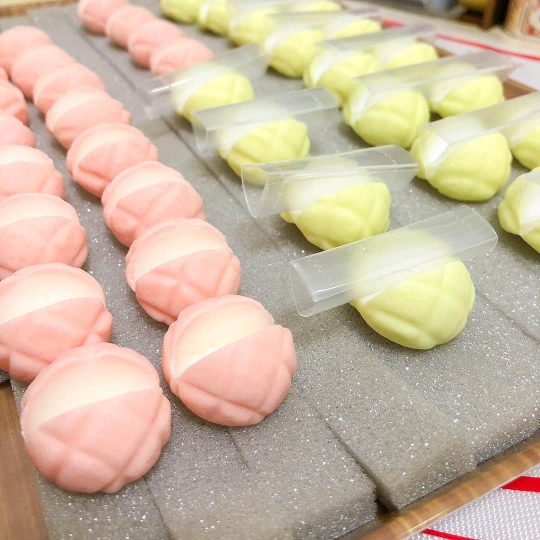 ちびあかぽんのインスタグラム：「春の新色が出来上がって来ました🍈🍞  #メロンパン #フェイクスイーツ #かめろんぱん #カメロンパン #亀 #パン #フェイクフード #ミニチュア #樹脂粘土 #clay #clayart #制作中 #制作途中 #🍈🍞 #ちびあかぽん #chibiakapon #ハンドメイド #handmade #春 #春の新作」