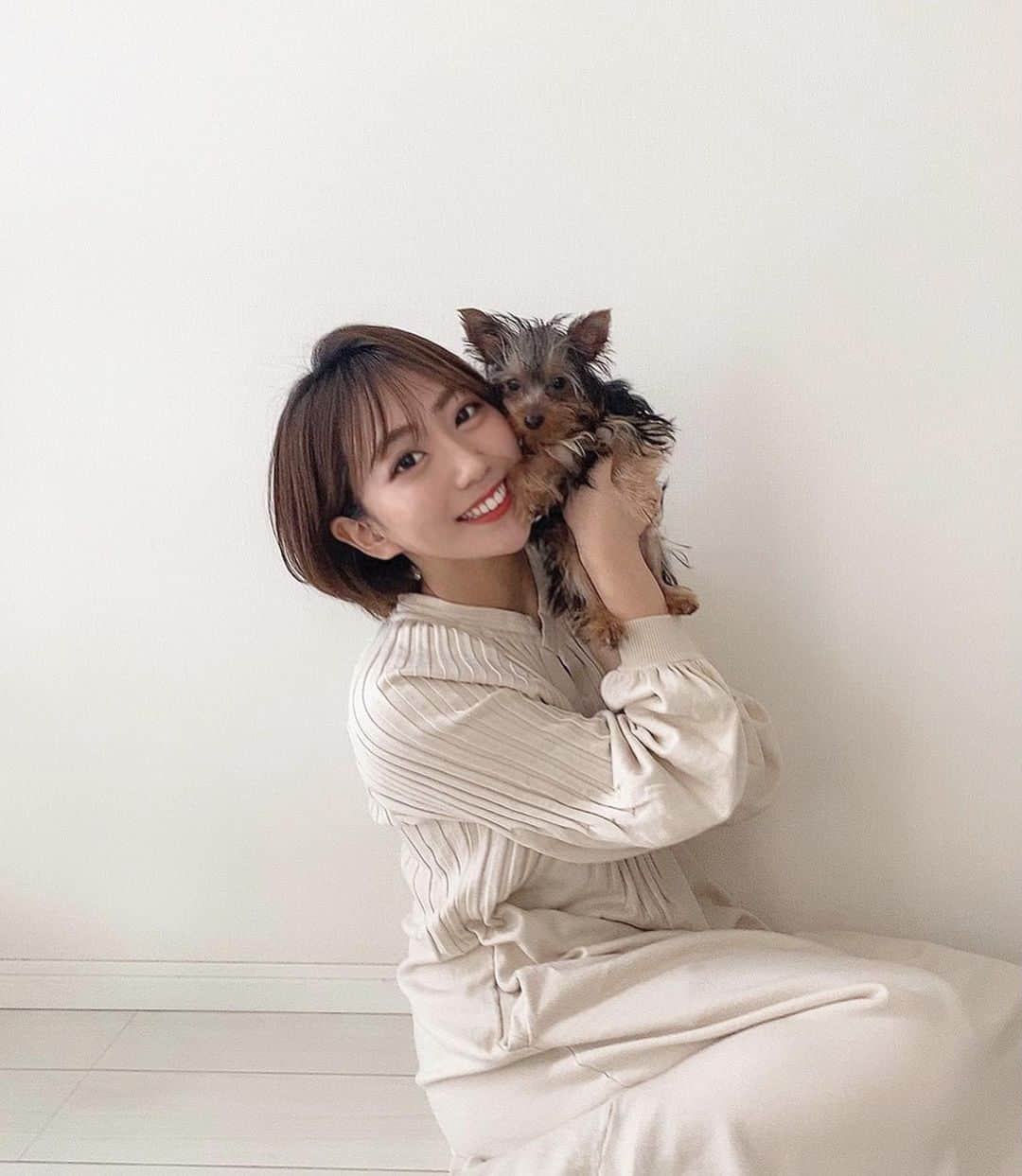 小川奏のインスタグラム：「﻿ ﻿ 新しい家族を紹介します❣️﻿ ﻿ ヨークシャテリアの “nico”です🐶﻿ ﻿ 実家で飼いはじめました！﻿ 中々会えないのですが、毎日、写真や動画が送られてくるのが楽しみです😊﻿ ﻿ 名前は、”nico”﻿ ニコニコの笑顔をみんなに届けてくれるから😊﻿ ﻿ 皆様にもnicoの可愛さで癒されてほしいなぁ❤︎  #愛犬との暮らし #愛犬 #犬 #ヨークシャテリア #ヨーキー #ヨーキー大好き #ヨークシャテリア大好き #犬のいる暮らし #犬好きな人と繋がりたい #ミスコン #ミスオブミス #ショートヘア #ショートカット #ヘアアレンジ #サロモ #被写体モデル #ポートレート」