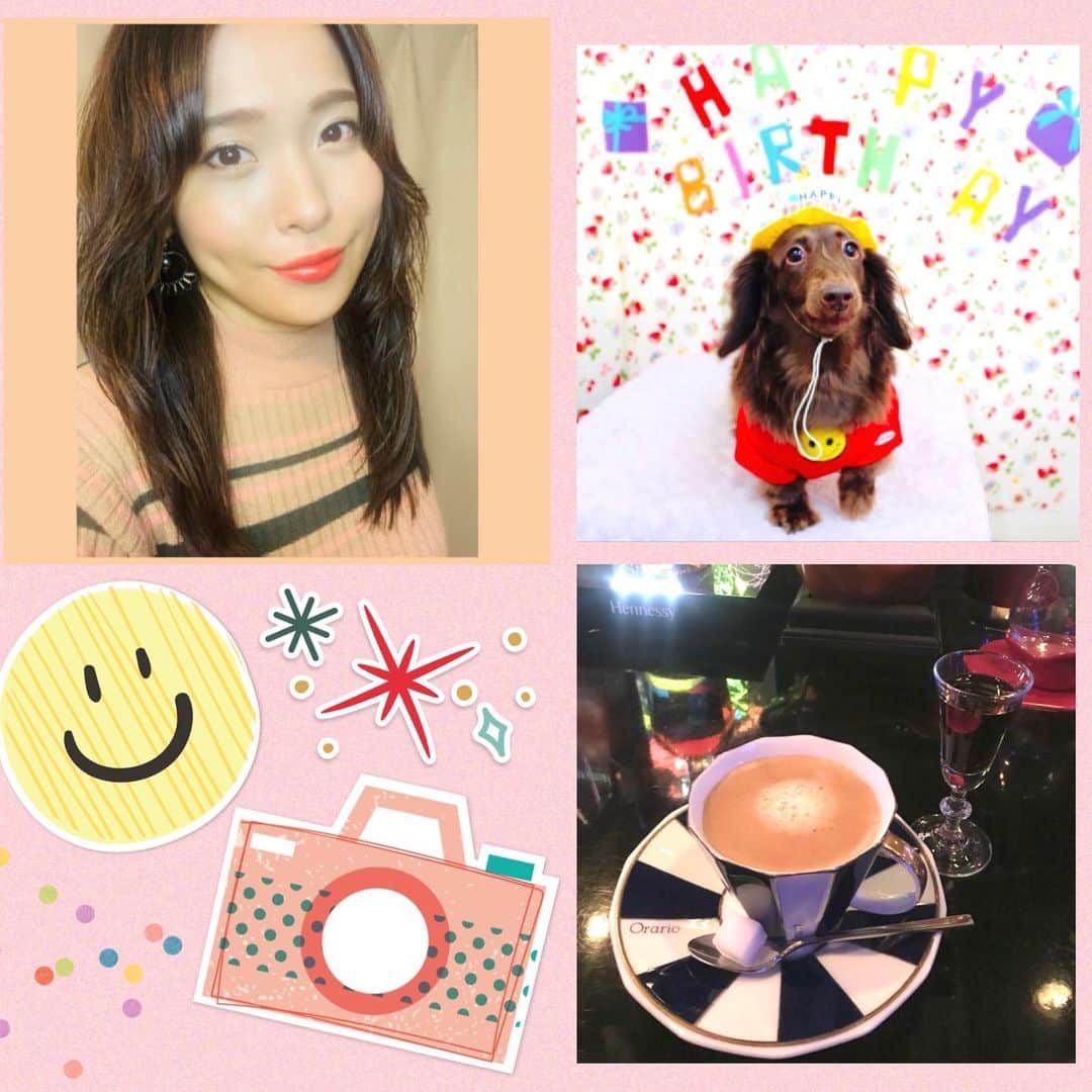 優奈のインスタグラム：「☕️🧡💚  Wine red 1月分を💌 お送りさせて頂きました😌  2020年は4月からスタートしたので　気付けばあと2回...😌  今年はどうするか分かりませんが とにかく応援し続けて下さる皆様には昨年も、どれだけ気持ち的にも支えて頂いたか...です😌  心から感謝しています🙏  歌で恩返しさせて下さい🙏🎙🎼🎶🌍 いつも有難うございます😌🙏✨💫🌈💫🌈🎵  🍷Fan Club 2020 Wine red  (毎月コンテンツ配信) https://yuuna-jp.amebaownd.com/pages/3624712/static  😌HP内に詳細を記載させて頂いております🙏  ✴︎✴︎✴︎  1月最終日❣️1/31(日)は 17LIVE配信を🌈21:00〜🌈 させて頂きます🎵  🌺覗いてみて頂けますと嬉しいです(*^_^*)🌺  ⭐️17LIVE📱【優奈_Yuuna_17】⭐️ フォローしてくださると喜び😆❣️です🥰✊♪  ✴︎✴︎✴︎  引き続き🎶 こちらも宜しくお願い致します☺️🎵🌈 ↓ 2021年2月6日(土) 「ノクスタルジー★初★プレミア配信ライブ」 https://twitcasting.tv/c:knockstalgie/shopcart/51752  👉プロフィール欄にURL貼っております☺️🎵🌈  #fanclub #singeryuuna #感謝  #17live #70年代pops #originalsongs  #ラムコーヒー 🥃　 #実家のわんちゃん  #うまれてきてくれてありがとう」