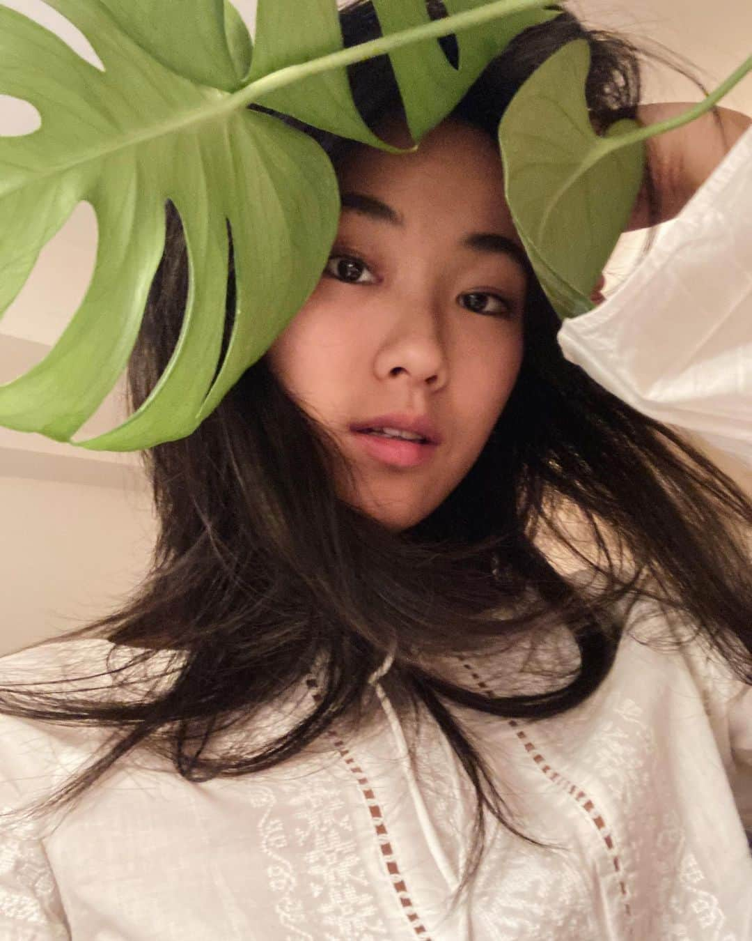 芦田ユリナのインスタグラム：「#monstera 🌿」