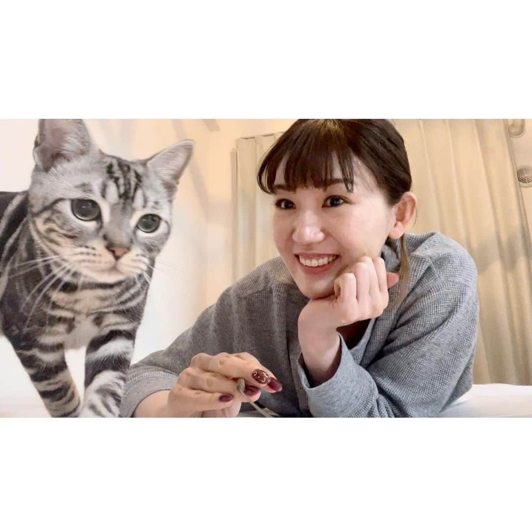 栗原恵さんのインスタグラム写真 - (栗原恵Instagram)「🌰 えんつむとの3ショットが必要になったので トライしてみたけどなかなか難しい…🦖🦖🦕💭  果たして私たちは 無事に撮影することができたでしょうか…🙄？笑  #縁と紬🦖🦖  #アメリカンショートヘア #アメショー #保護猫 #猫のいる暮らし」1月31日 20時23分 - megumi_kurihara_official