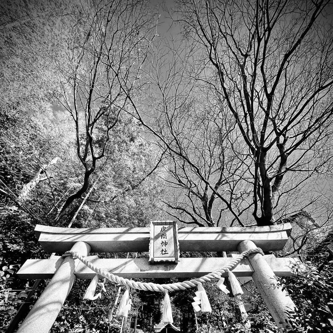 sioneのインスタグラム：「だいぶ遅いけど初詣⛩  #bw #monochrome #japan」