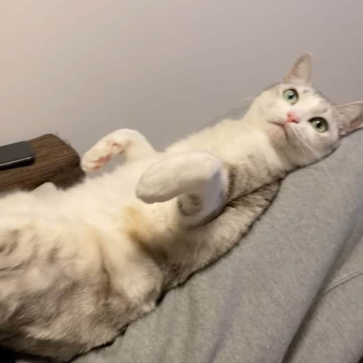 つるちゃんのインスタグラム