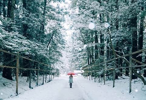 yukiのインスタグラム：「・ ・ ・ 雪が降り積もる弥彦神社は とても神秘的でした ・ ・ ・ ◉sty830 base shop◉ https://sty830.base.shop/ ・ ・ ・ #新潟　#雪　#雪景色　#弥彦神社」