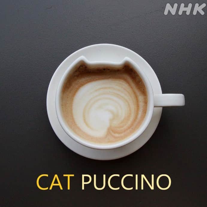 NHK「世界はほしいモノにあふれてる」さんのインスタグラム写真 - (NHK「世界はほしいモノにあふれてる」Instagram)「🐱ニャにか御用？かわいいミラノのねこカフェ🐱  ミラノ中央駅にほど近い、ねこカフェ。 去年の撮影でお邪魔しました。  日本のねこカフェブームからヒントを得たとか🐱   ここにいるのは、いろいろな理由で 保護された猫たち。  猫たちの名前は、音楽好きのオーナーが、 敬愛するミュージシャンの名前を付けていて、 愛情いっぱい💕  「エルビス」「ジミ」の他に、 「エルトン」「ボウイ（デヴィッド・ボウイ）」や 「フレディ（フレディ・マーキュリー）」など 名前がつけられています🐈🐈‍⬛🐈  番組では、ねこたちのあまりのかわいさに、 せかほしファミリーのみなさまお楽しみの(！) JUJUさんの「ね〜〜こ〜😻‼️」も、飛び出しました✨ 　(微笑む亮平さんのつっこみとセットで)  18時から20時までは、 夕食まえに楽しむ アペリティーボの時間🥂  メニューにも猫にまつわるユニークな名前が…。  🐈CAT PUCCINO (キャットプチーノ／カプチーノ) 🐱AMEOWRICANO (アミャウリカーノ／アメリカーノ) 🐈MIAOJITO（ミアォジート／モヒート） 🐱CATS IN THE BEACH（キャッツインザビーチ／セックスオンザビーチ）   ねこも人も、思い思いにくつろいでいる、 ニャンとも居心地のよいカフェ。  (いつかコロナが落ち着いたら行きたいですね)  2月4日までNHKプラスで、見逃し配信中です🐱ぜひ〜  #nhk #せかほし #22時30分　 #鈴木亮平　#JUJU 　#神尾晋一郎 #世界はほしいモノにあふれてる #sekastagram  #イタリア　#ミラノ　 #italy #milano   #ファッション #ビンテージ #子ども服　 #vintage   #おうち時間　 #旅行気分 #ねこカフェ #ねこすたぐらむ  #ねこ #ねこ部  #catstagram  #いつか行きたい #cafe  #カフェ」1月31日 20時44分 - nhk_sekahoshi