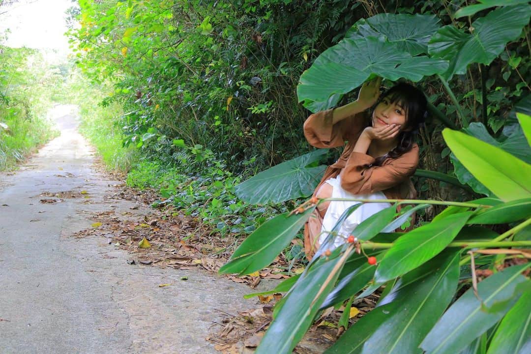 溝呂木世蘭さんのインスタグラム写真 - (溝呂木世蘭Instagram)「ある国では本当にこの葉っぱを 切って傘につかってるんだってー！！  トトロの世界観だねっ！♡  切ってはないけど 葉っぱの下にいってトトロ気分味わったよ！  #沖縄旅行 #沖縄 #宮古島 #トトロの世界 #葉っぱの傘 #来間島 #来間大橋 #カメラ好きな人と繋がりたい #旅行好きな人と繋がりたい」1月31日 20時50分 - seran_0422
