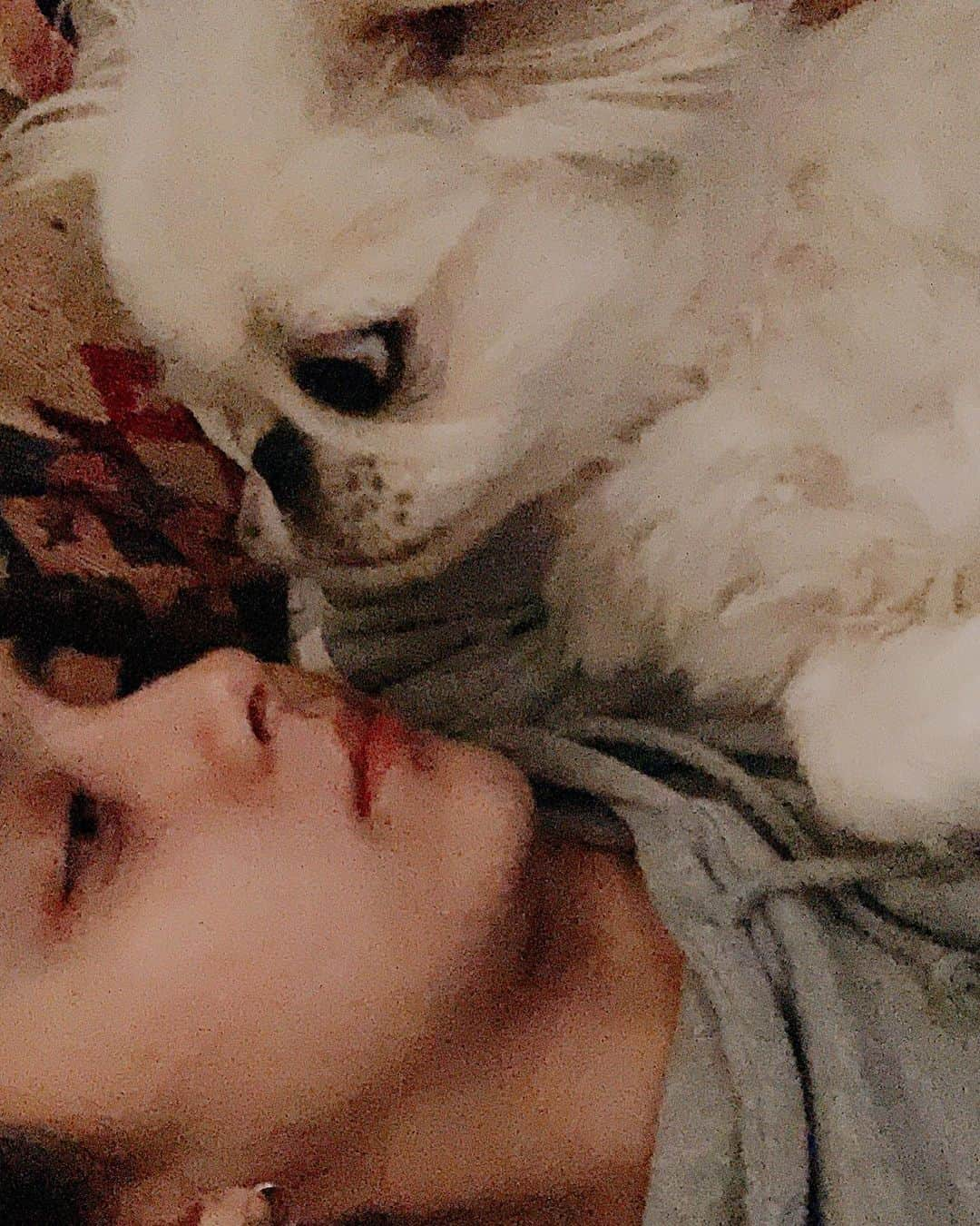 石田ニコルさんのインスタグラム写真 - (石田ニコルInstagram)「♡♡♡  #pekingese #netflix」1月31日 20時55分 - nicole_ishida